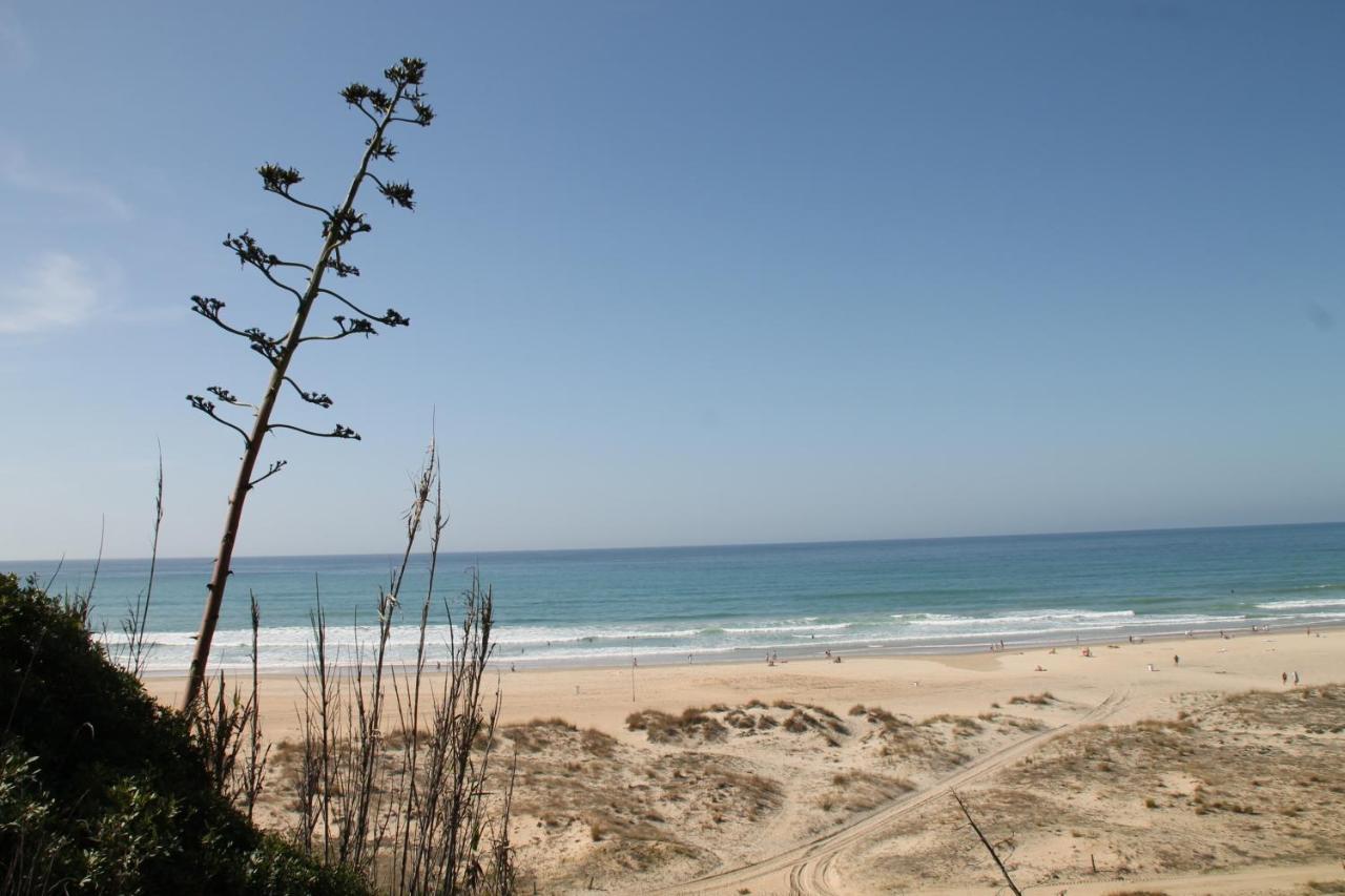 Apartamento Canaveral Playa Conil Conil De La Frontera Eksteriør billede